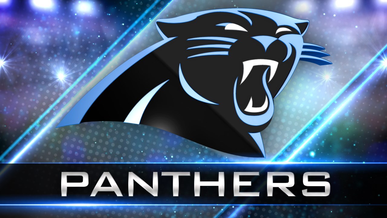 6 things to know about new Panthers owner David Tepper